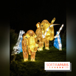 Festival de Lumières au Jardin des Plantes : Espèces en voie d’illumination