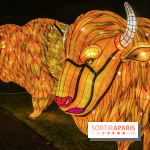 Festival de Lumières au Jardin des Plantes : Espèces en voie d’illumination