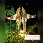 Festival de Lumières au Jardin des Plantes : Espèces en voie d’illumination