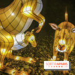 Festival de Lumières au Jardin des Plantes : Espèces en voie d’illumination