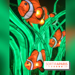 Festival de Lumières au Jardin des Plantes : Espèces en voie d’illumination