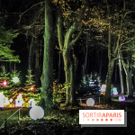 Noël au Château de Vaux le Vicomte 2018