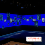  Doisneau et la musique à la Philharmonie - Musée de la musique, nos photos