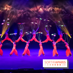 Le Roi des Singes au Cirque Phénix