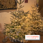 Noël 2018 au Château de Chambord