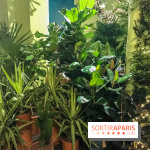 Bergamotte, le lieu de vie dédié au végétal