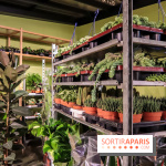 Bergamotte, le lieu de vie dédié au végétal