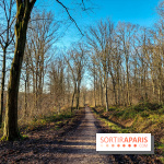 visuel île de france - balade forêt - nature