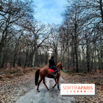 visuel île de france - balade forêt - nature - cheval