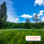 visuel Paris - île de France - nature - forêt