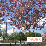 Visuel Paris, Tour Eiffel printemps