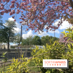 Visuel Paris printemps