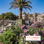 Visuel Paris jardin du luxembourg