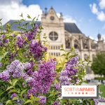 Visuel Paris Jardin Nelson Mandela Eglise Saint Eustache