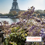 Visuel Paris glycine Tour Eiffel Seine