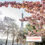 Visuel Paris Tour Eiffel cerisiers en fleurs