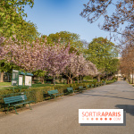 Visuel Paris Trocadéro cerisiers en fleurs