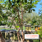 Visuel Paris - rucher