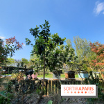 Visuel Paris - rucher