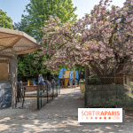 Visuel Paris enfants