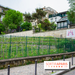 Visuel Paris vignes Montmartre