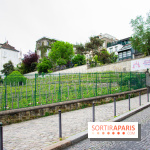 Visuel Paris vignes Montmartre