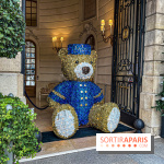 Paris visuel - noel Paris - ritz Paris