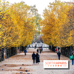 visuel Paris visuel  -  A7C6383