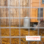 Brach Paris, l'hôtel signé Starck dans le 16e