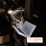 Le Musée Grévin, nouvelle génération - les photos