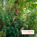 Mille et une Orchidées 2019 au Jardin des Plantes, les photos