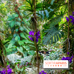 Mille et une Orchidées 2019 au Jardin des Plantes, les photos