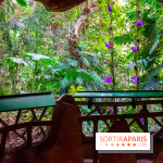 Mille et une Orchidées 2019 au Jardin des Plantes, les photos