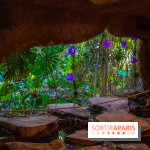 Mille et une Orchidées 2019 au Jardin des Plantes, les photos