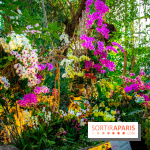 Mille et une Orchidées 2019 au Jardin des Plantes, les photos