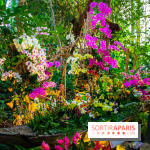 Mille et une Orchidées 2019 au Jardin des Plantes, les photos