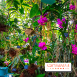 Mille et une Orchidées 2019 au Jardin des Plantes, les photos