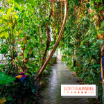 Mille et une Orchidées 2019 au Jardin des Plantes, les photos