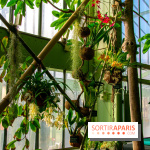 Mille et une Orchidées 2019 au Jardin des Plantes, les photos