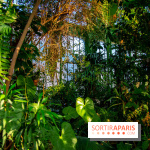 Mille et une Orchidées 2019 au Jardin des Plantes, les photos