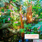 Mille et une Orchidées 2019 au Jardin des Plantes, les photos