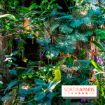 Mille et une Orchidées 2019 au Jardin des Plantes, les photos