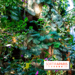 Mille et une Orchidées 2019 au Jardin des Plantes, les photos