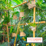 Mille et une Orchidées 2019 au Jardin des Plantes, les photos