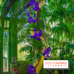 Mille et une Orchidées 2019 au Jardin des Plantes, les photos