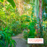 Mille et une Orchidées 2019 au Jardin des Plantes, les photos