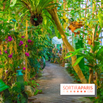 Mille et une Orchidées 2019 au Jardin des Plantes, les photos