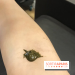 La coloration végétale chez Biocoiff'