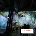 Exposition Van Gogh à l'Atelier des Lumières, les photos
