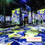 Exposition Van Gogh à l'Atelier des Lumières, les photos